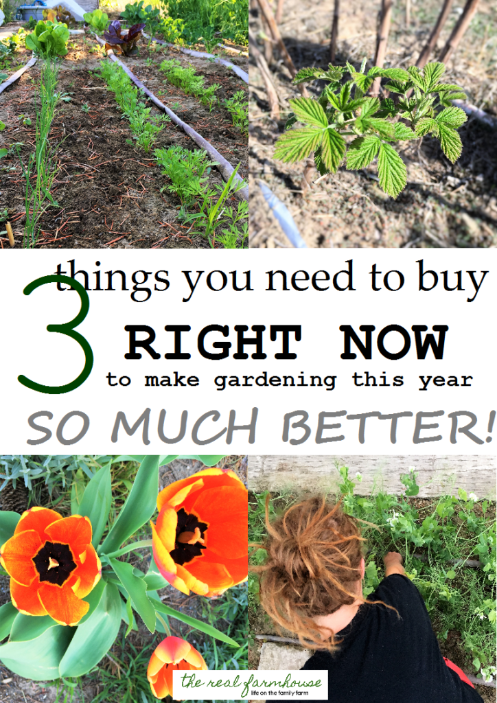 3 Things You Need To Buy Right Now To Make Gardening This Year SO MUCH ...